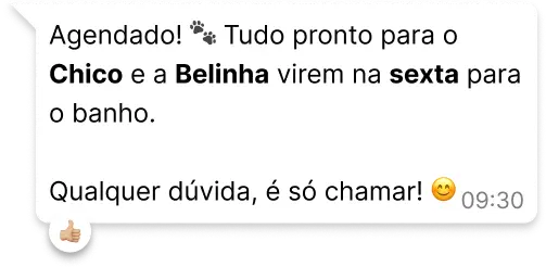 Captura de tela de uma mensagem de chat do WhatsApp. O texto diz: 'Agendado! 🐾 Tudo pronto para o Chico e a Belinha virem na sexta para o banho. Qualquer dúvida, é só chamar! 😊'. Os nomes 'Chico', 'Belinha' e a palavra 'sexta' estão em negrito. Há uma reação de emoji de 'joinha' (polegar para cima) no balão da mensagem.